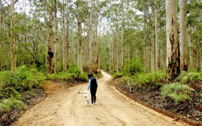 Top Parks Margaret River Tourist Park