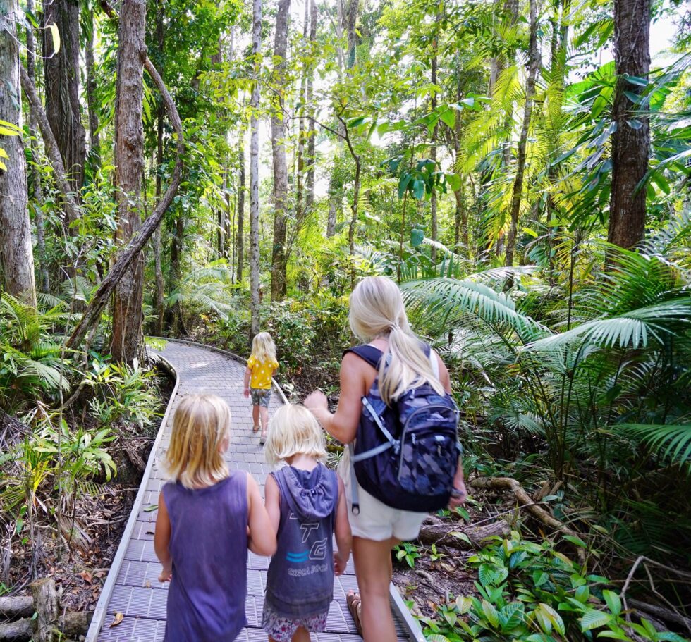 48 HOURS IN THE DAINTREE | Trip In A Van