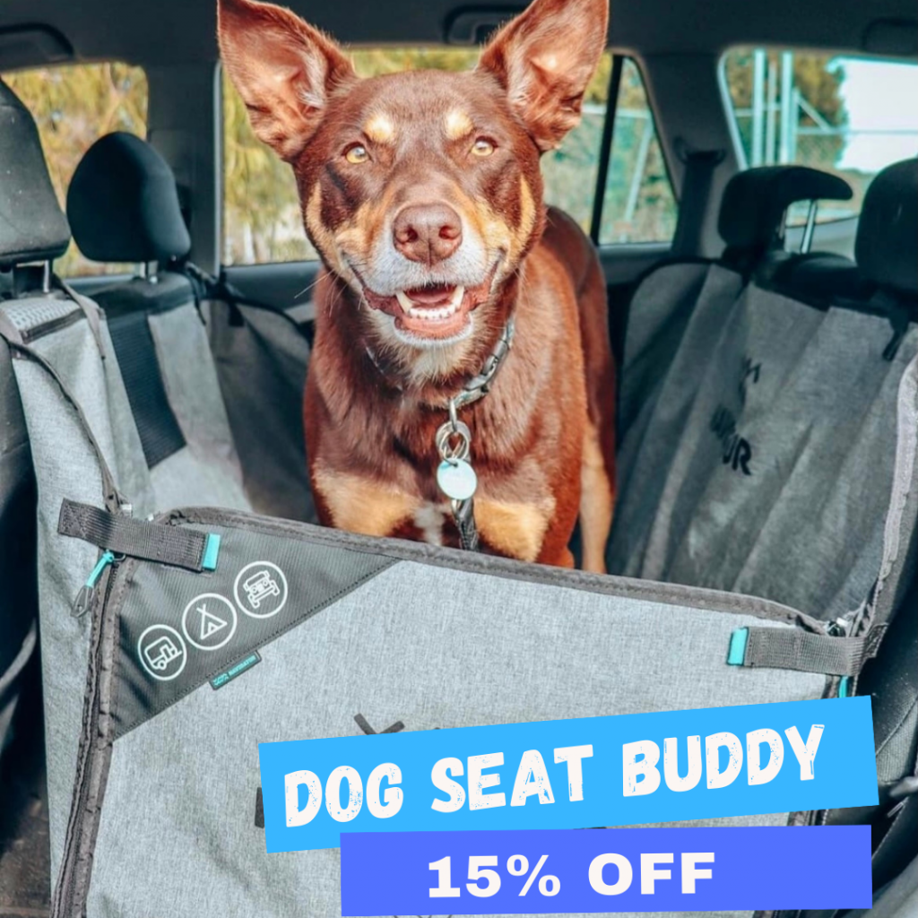 TRAVEL WITH DOGS Trip In A Van